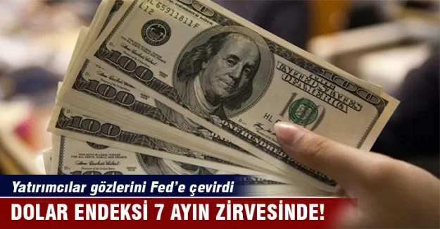 Dolar endeksi 7 ayın zirvesinde