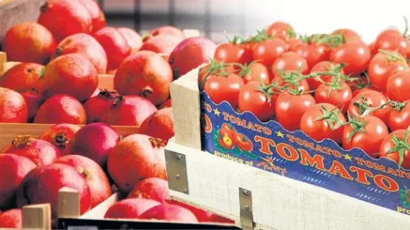 ‘Rusya’ya ihracat alarm veriyor’