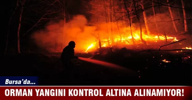 Orman yangını lodos etkisiyle kontrol altına alınamıyor
