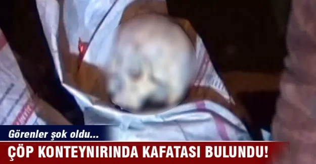 Çöp konteynırında kafatası bulundu!