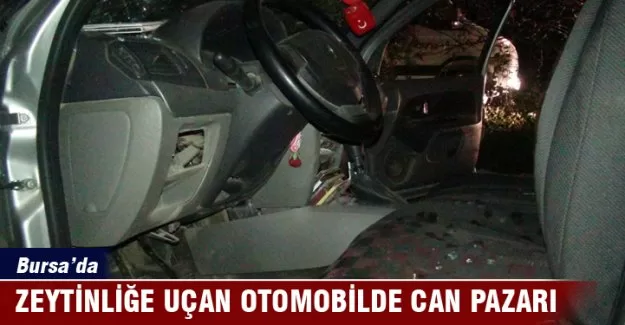 Zeytinliğe uçan otomobilde can pazarı