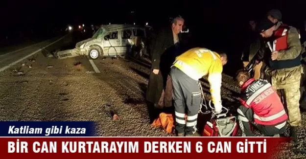 Bir can kurtarayım derken 6 can gitti!