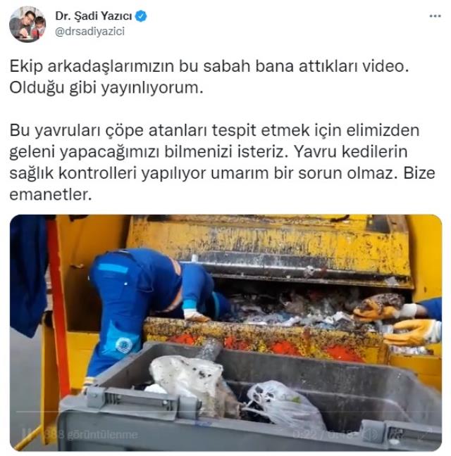 Çöpe atılan yavru kedileri belediye görevlileri kurtardı!