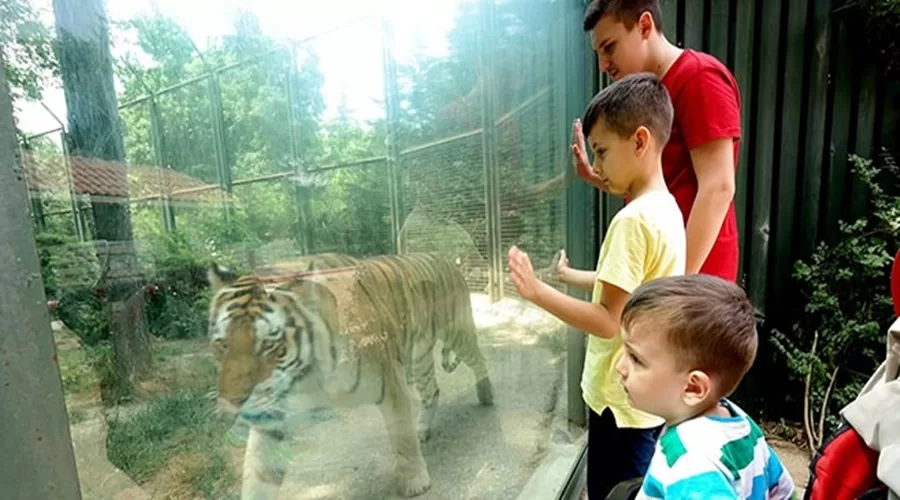 Bursa Hayvanat Bahçesi Yarıyıl Karnesiyle Gelen Öğrencilere Kapılarını Ücretsiz Açıyor
