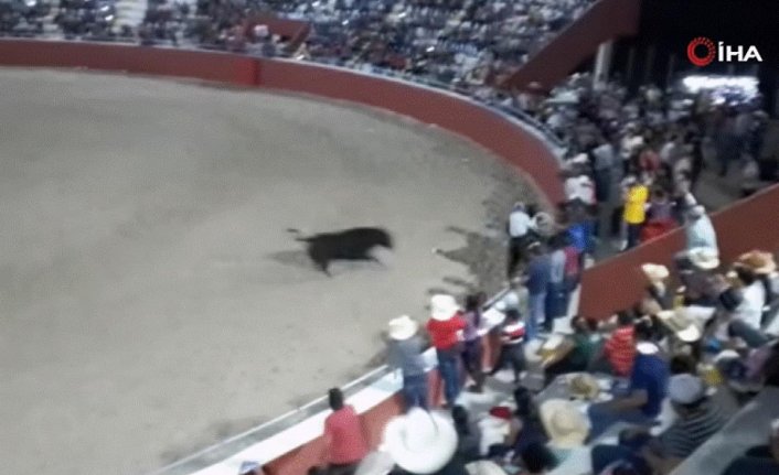 Meksika'da boğa yakalama etkinliğinde 1 kişi öldü!