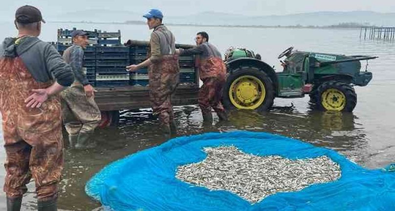 İznik Gölü'nde gümüş balığı sezonu açıldı