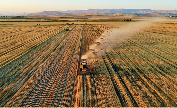 Tarımda üretici enflasyonu yıllık yüzde 84 arttı