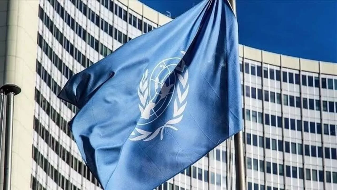 BM İsrail'in Doğumları Önlemeye Çalıştığını Açıkladı