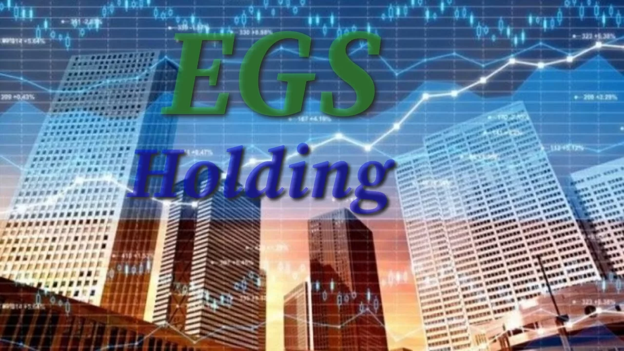 EGS Holding İflas Etti