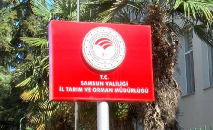 Samsun'da tüm hayvan pazarları kapatıldı!