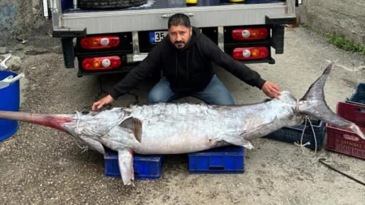 Karataş'ta Dev Kılıç Balığı Yakalandı