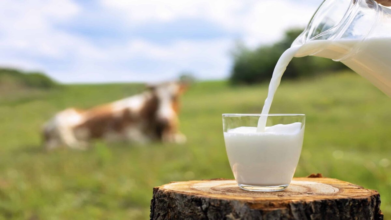 Ulusal Süt Konseyi Çiğ Süt Tavsiye Fiyatını Belirledi