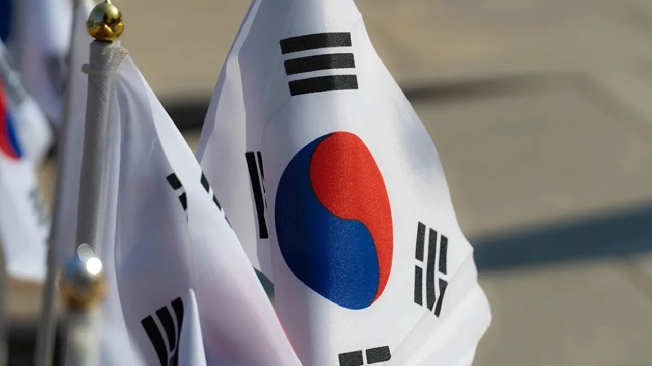 Güney Kore'de 76 Kediye İşkence Eden Kişiye 14 Ay Hapis Cezası Verildi