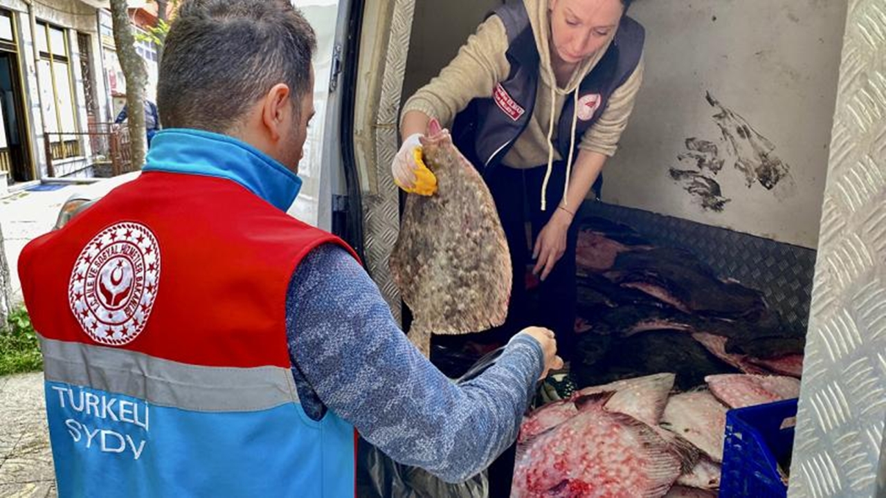 Sinop'ta Kaçak Yolla Avlanan 340 Kalkan Balığı Ele Geçirildi