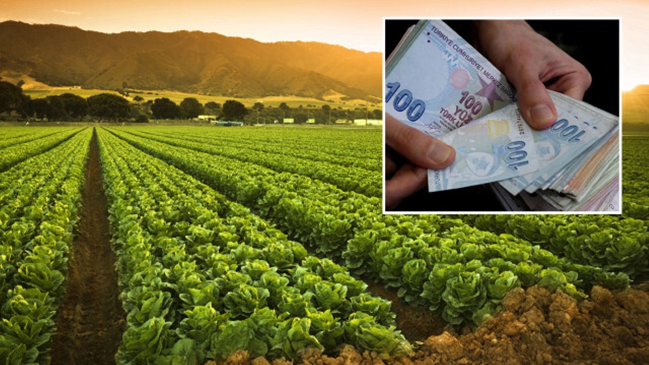Çiftçilere 445 Milyonluk Tarımsal Destek Ödemeleri Hesaplara Aktarılıyor