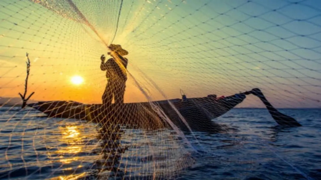 Balıkçılar Av Yasağının Ardından Okyanuslara Açıldı