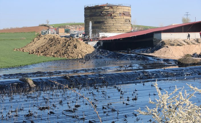 Çevre katliamı! Tonlarca zift tarım arazilerine yayılıyor