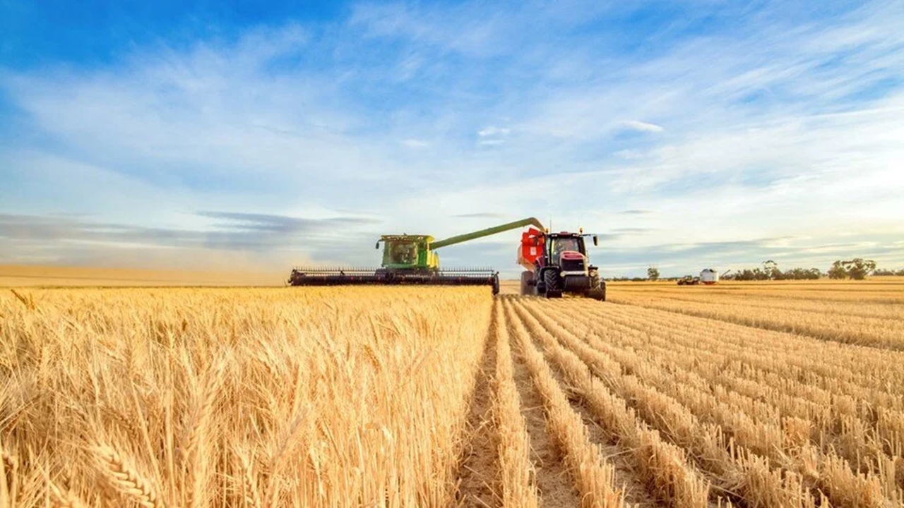 Tarım Sektörü 2024 Yılı İlk Çeyreğinde %4,6 Büyüdü