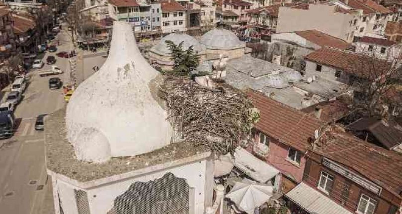 Bursa'da saat kulesinin leylek çifti yuvaya döndü