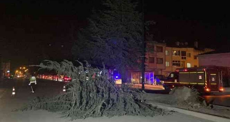 Lodos Bursa'yı yine uçurdu!