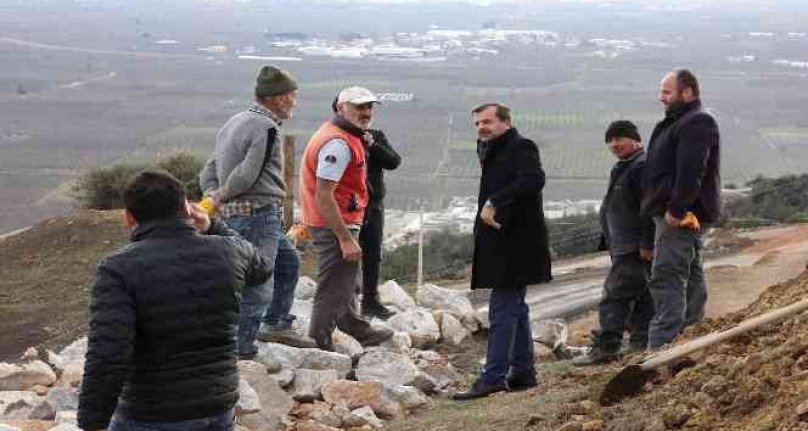 Gürsu'ya hayvan bakım ve tedavi merkezi