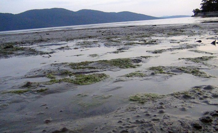 Muğla'da deniz suyu 50 metre çekildi!