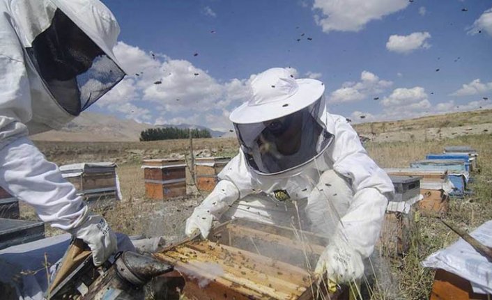 Tarım ve Orman Bakanlığından arıcılara ilave şeker arzı müjdesi