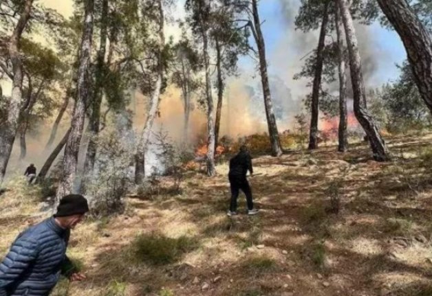 Muğla Göcek'te orman yangını! Soruşturma başlatıldı