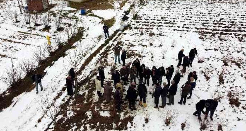 Türkiye'deki yaban mersininin üçte biri Bursa'da üretiliyor