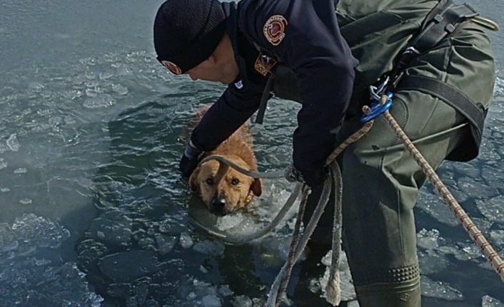 Bursa'da buz tutan gölete düşen köpeği itfaiye kurtardı