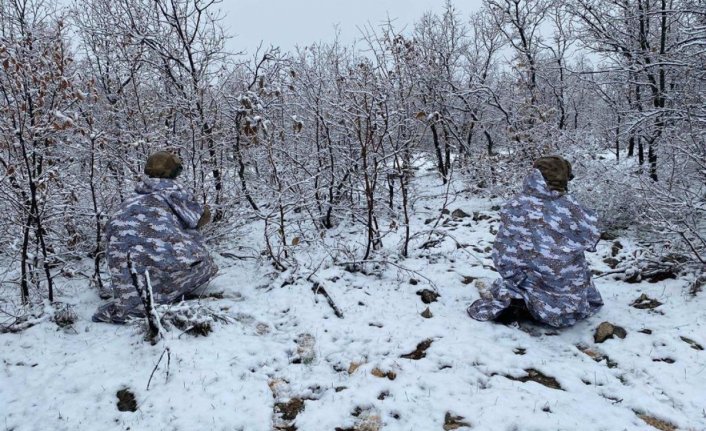 Diyarbakır'da 'Eren Kış-31 Operasyonu' başlatıldı