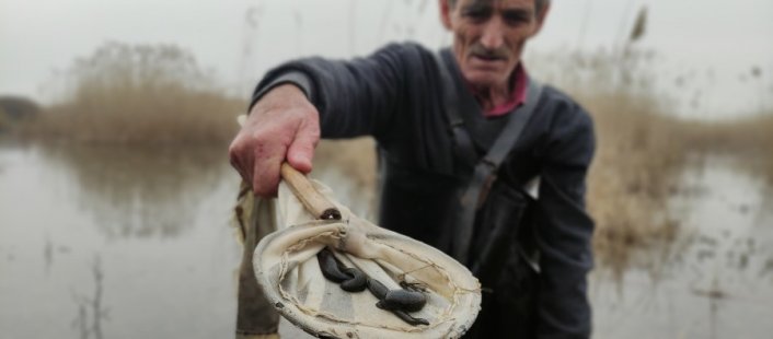 Bursa'da buz gibi suyun içinde şifalı sülük avlıyor