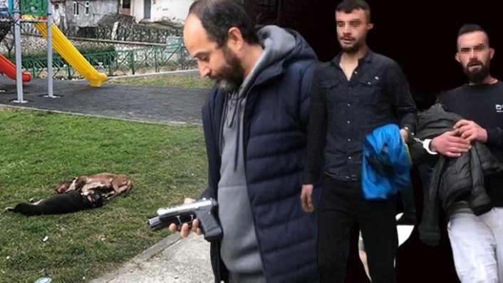 Bursa'da Çocuk parkında dehşet: Kendilerine saldıran Pitbullları öldürdüler