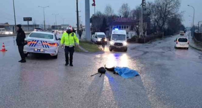 Bursa'da otomobilin çarptığı kadın hayatını kaybetti!