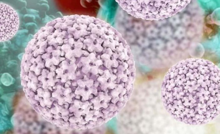100 kadından 98'i HPV virüsü ile karşı karşıya!