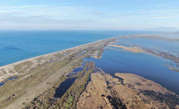 Karacabey longoz ormanları suyla buluşmaya başladı