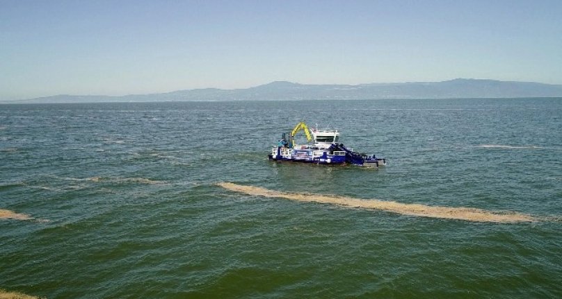 Mudanya'da deniz salyası temizliği başladı