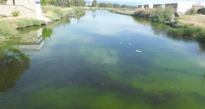 Balıkesir'de çevre felaketi! Kötü koku kabusları oldu