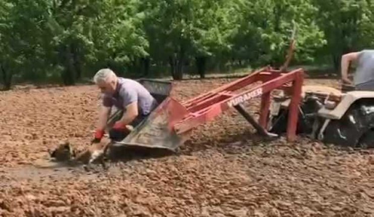 Bursa'da bataklığa saplandı, saatlerce kurtarılmayı bekledi!