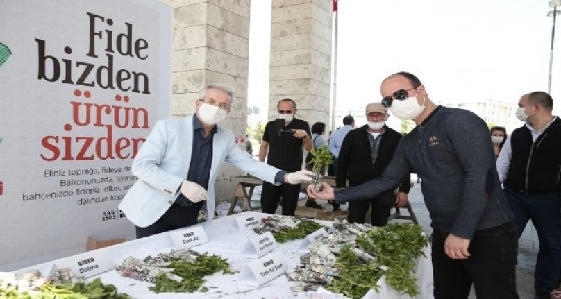 Bursa Nilüfer Belediyesi'nden balkon tarımına destek! Halka dağıtılacak...