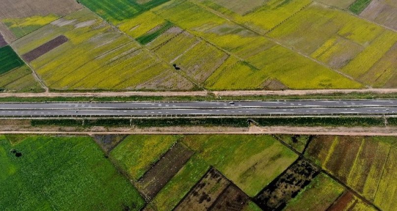 Bursa'da hasat öncesi tarlalar halı desenlerini aratmadı