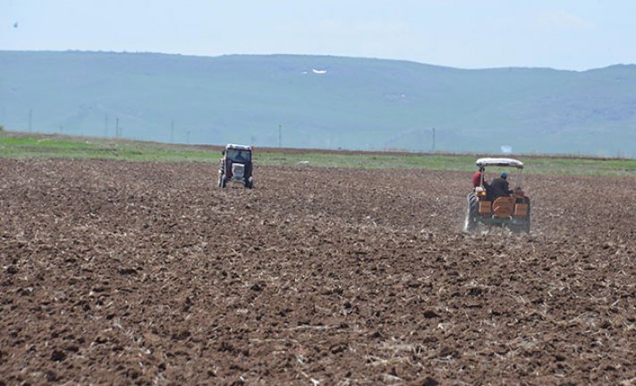 Erzurum tarımında kuraklık endişesi