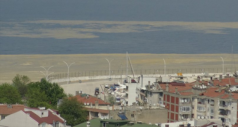 Bursa'da sahiller deniz salyası ile kaplandı!