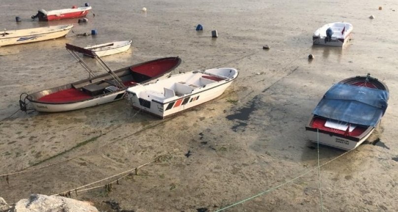 Bursa'da beyaza bürünen körfezde balık ölümleri başladı