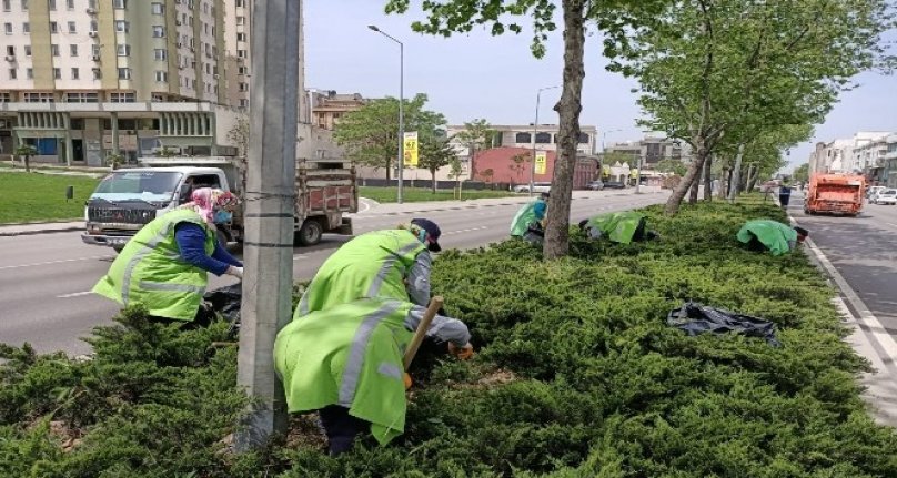 Yeşil Bursa yaza hazırlanıyor