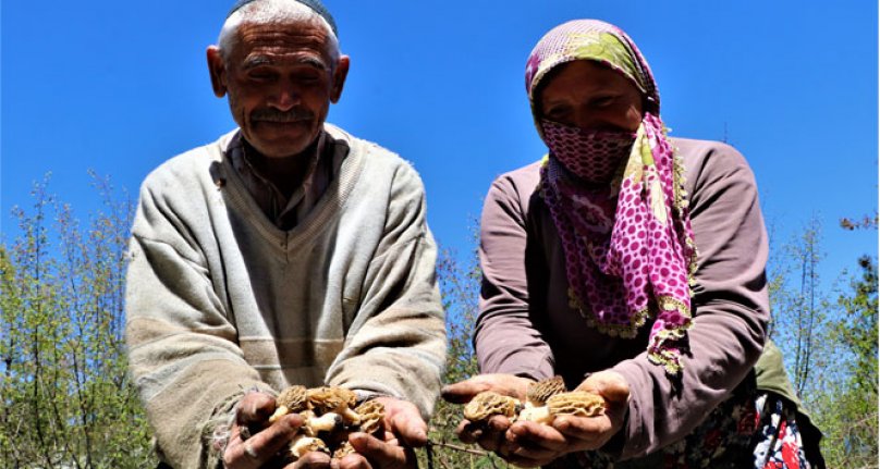 Dedektif gibi arıyorlar, kilosunu 150 TL'den satıyorlar