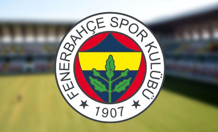 Fenerbahçe'de sakatlık şoku