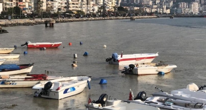 Bursa Gemlik sahili beyaza büründü