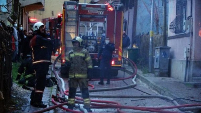 Bursa’da yürekleri ağza getiren yangın! Çok sayıda sokak kedisi telef oldu...