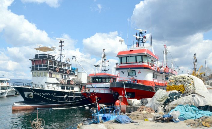 'Müsilaj' balık fiyatlarını arttırdı!